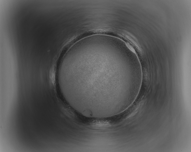 X0000102370491200808011516