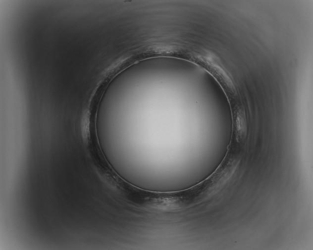 X0000102370492200808011516