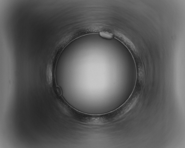 X0000102370493200808011516