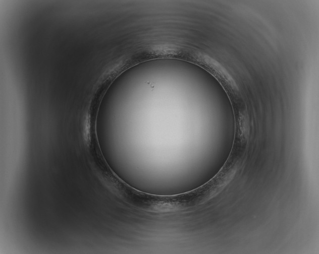 X0000102370494200808011516