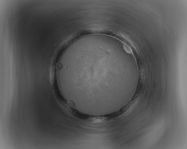 X0000102370495200808011516