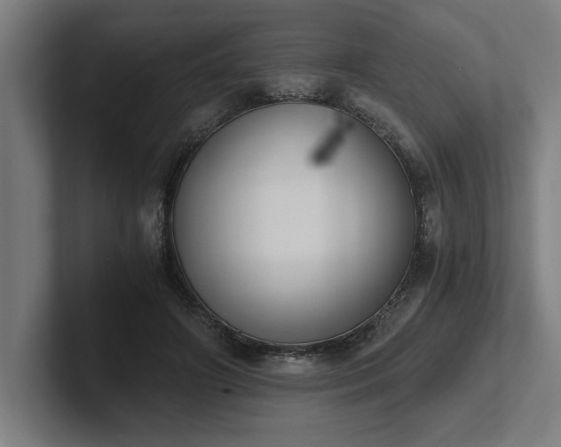 X0000102370498200808011516