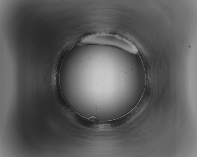 X0000102370501200808011516