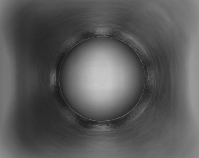 X0000102370502200808011516