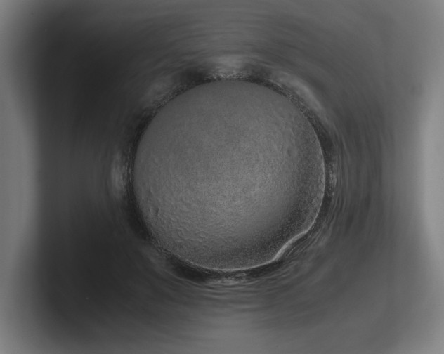 X0000102370503200808011516