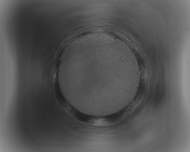 X0000102370507200808011516