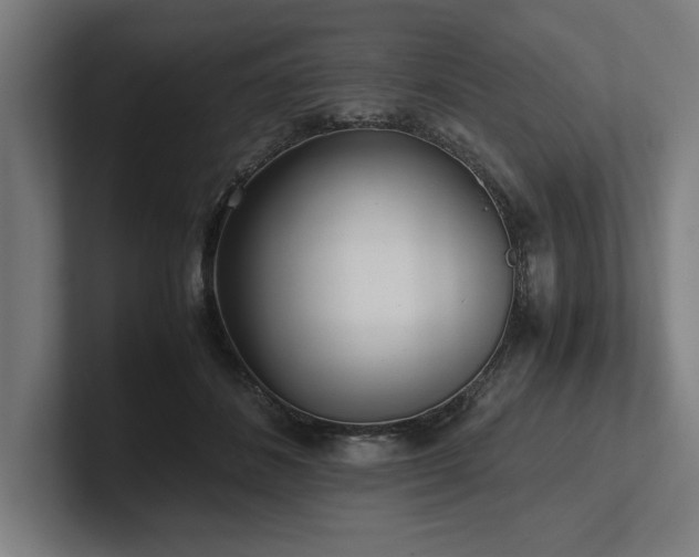 X0000102370508200808011516