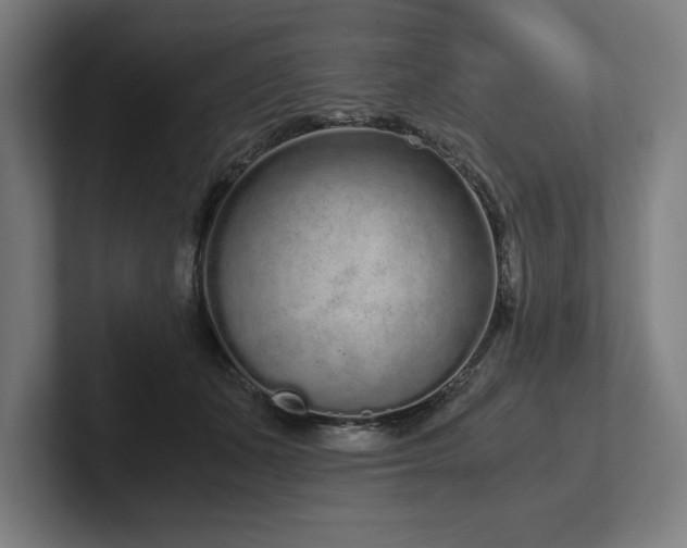 X0000102370511200808011516