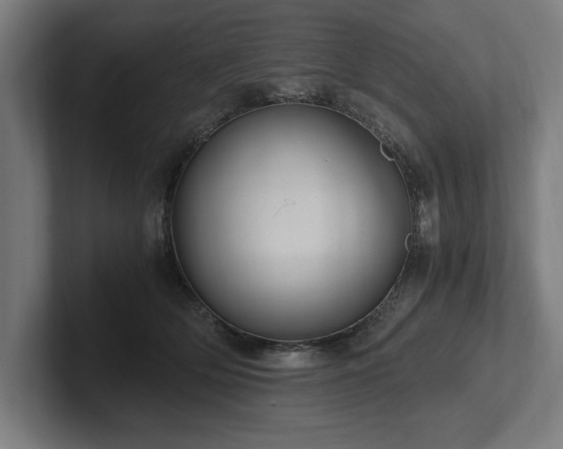 X0000102370514200808011516