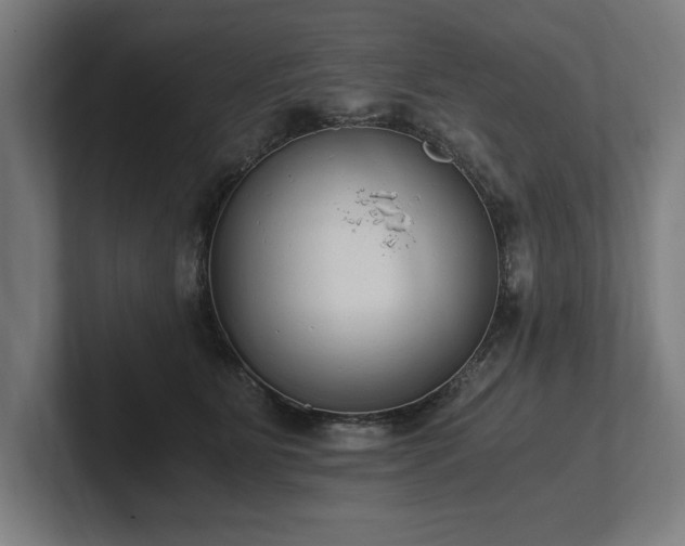 X0000102370515200808011516