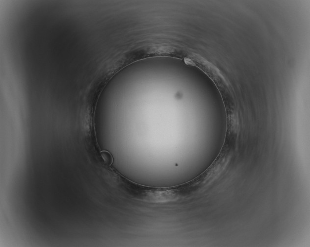 X0000102370517200808011516