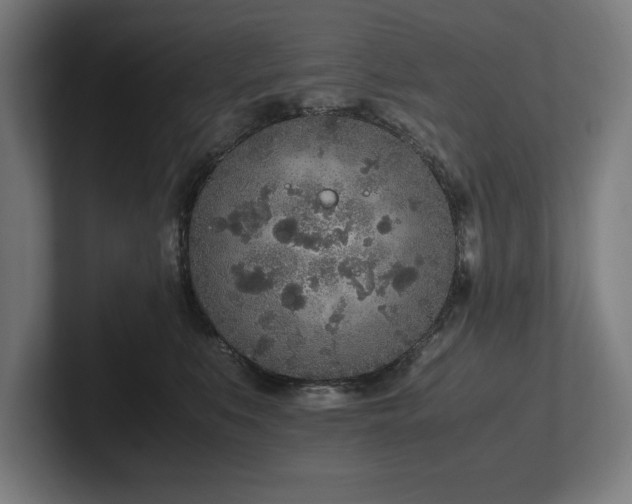X0000102370519200808011516