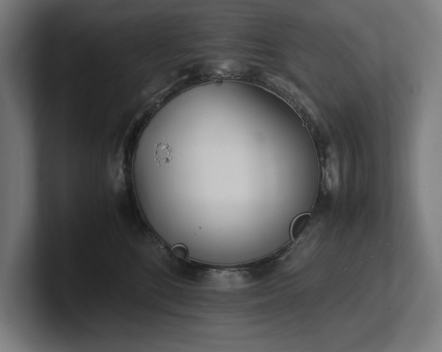 X0000102370520200808011516