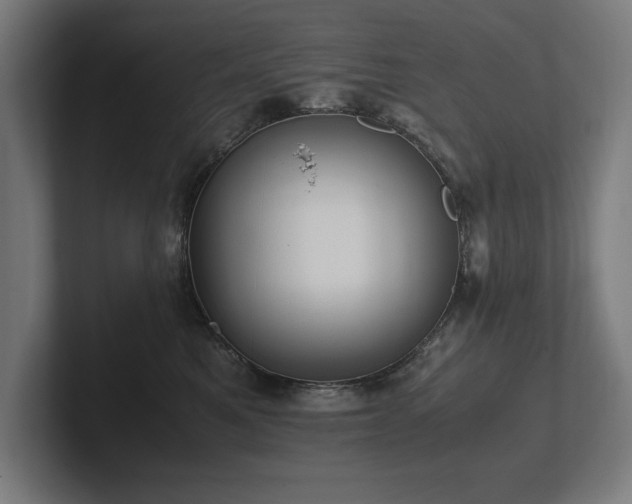 X0000102370521200808011516