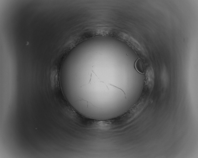 X0000102370522200808011516