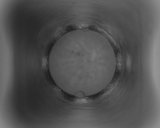 X0000102370523200808011516