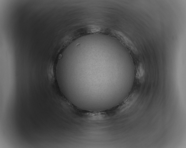 X0000102370524200808011516