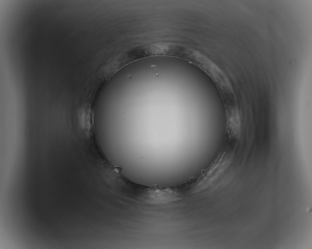 X0000102370525200808011516