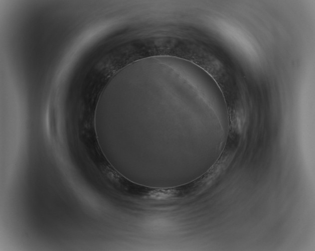 X0000102370526200808011516