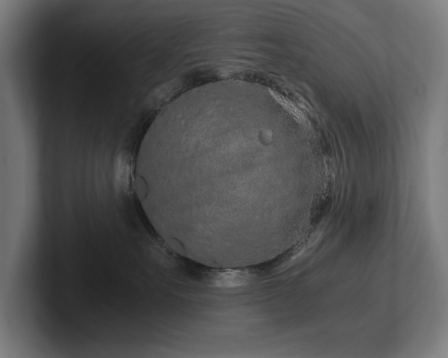 X0000102370527200808011516