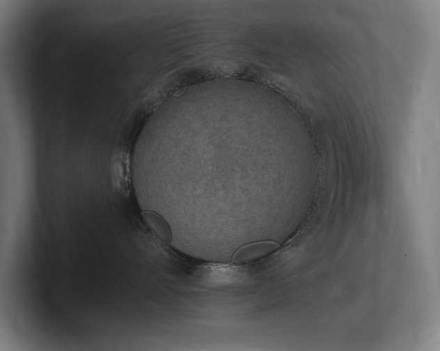X0000102370528200808011516