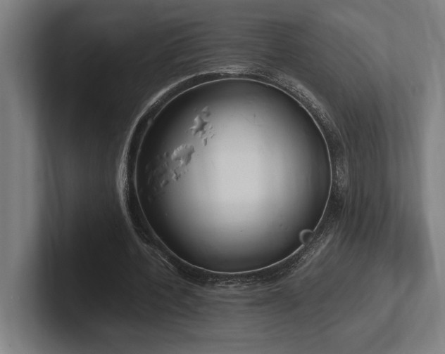 X0000102370532200808011515