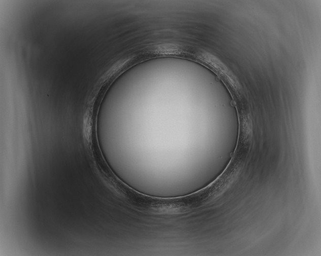 X0000102370533200808011515