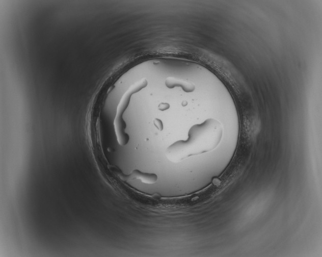 X0000102370534200808011515