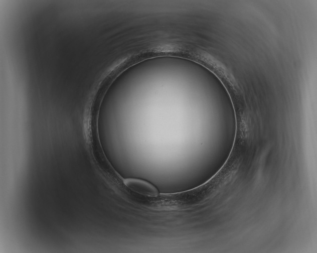 X0000102370535200808011515