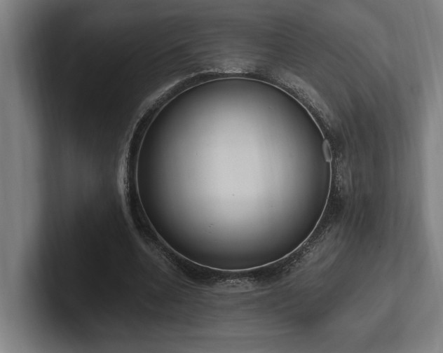 X0000102370536200808011515