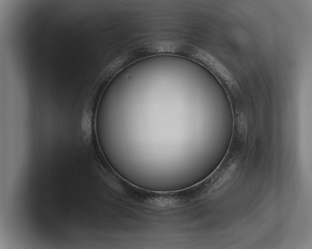 X0000102370537200808011515