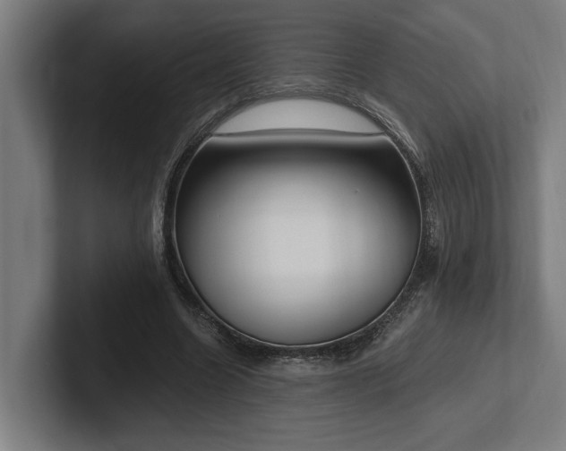 X0000102370538200808011515