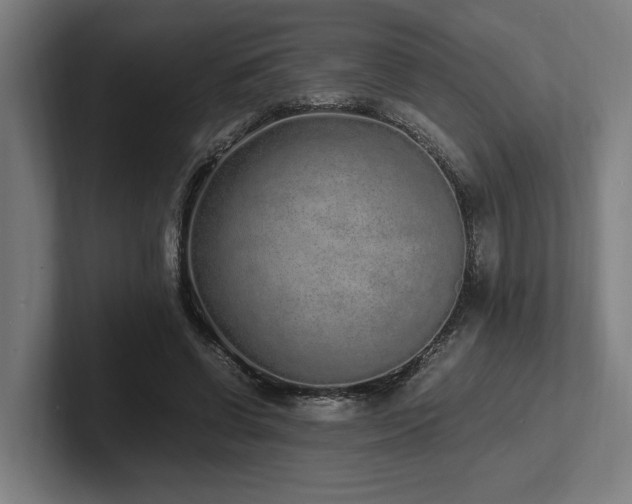 X0000102370542200808011515