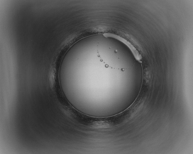 X0000102370544200808011515