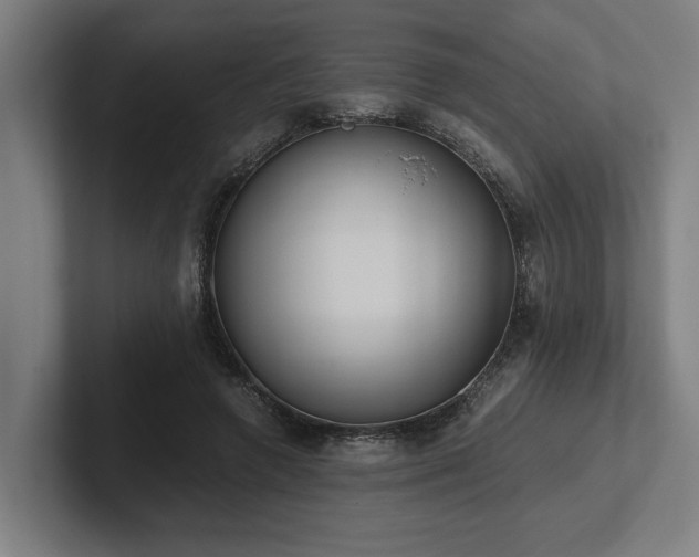 X0000102370546200808011515