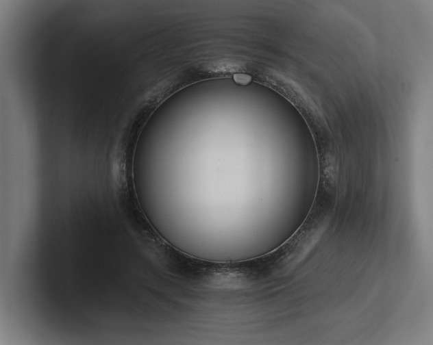 X0000102370547200808011515