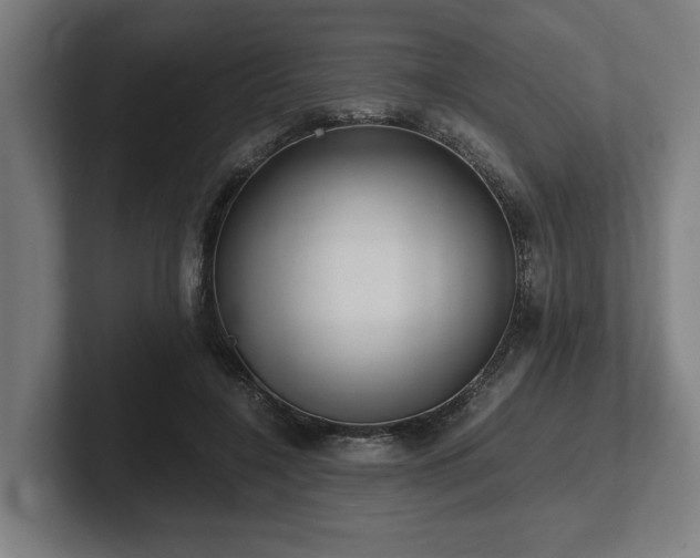 X0000102370548200808011515