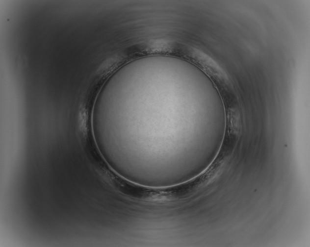 X0000102370550200808011515