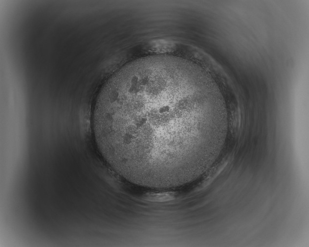 X0000102370553200808011515