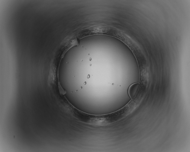 X0000102370554200808011515