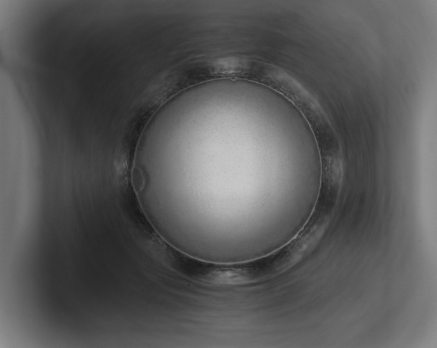X0000102370557200808011515