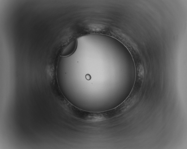X0000102370559200808011515