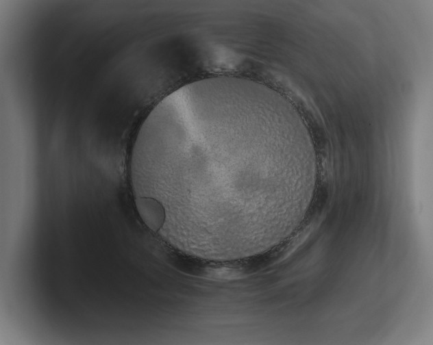 X0000102370561200808011515