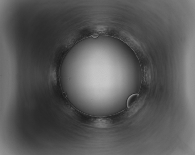 X0000102370562200808011515