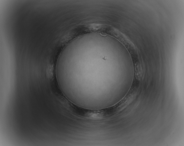 X0000102370563200808011515