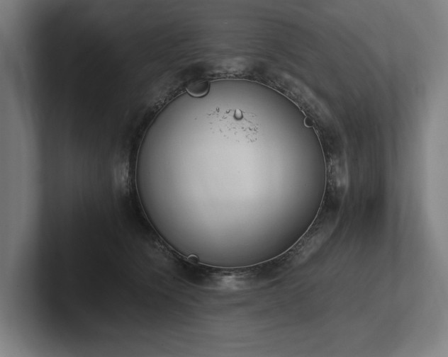 X0000102370564200808011515