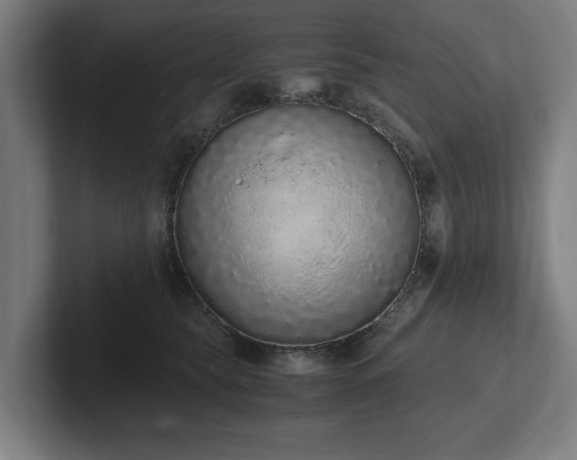 X0000102370565200808011515