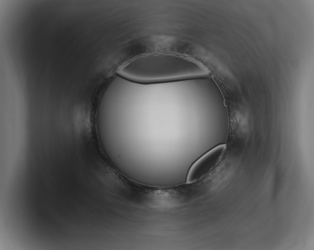 X0000102370566200808011515
