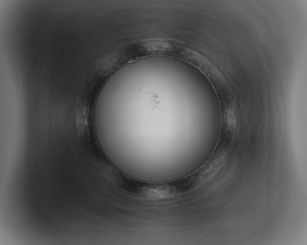 X0000102370567200808011515