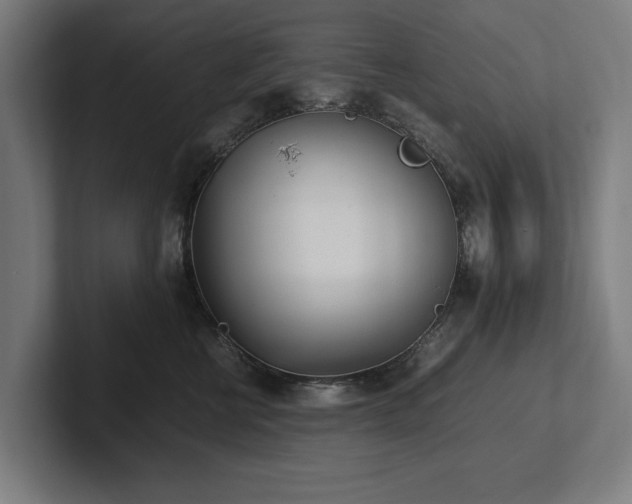 X0000102370570200808011515